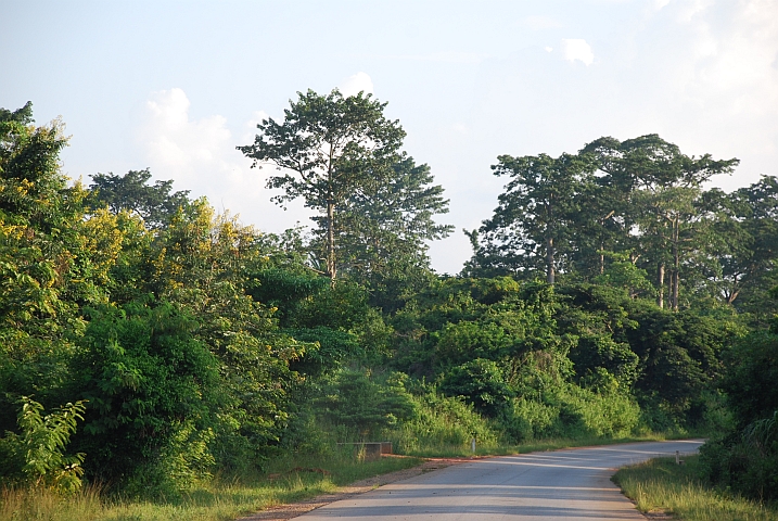 Zwischen Ejura und Mampong auf dem Weg nach Kumasi