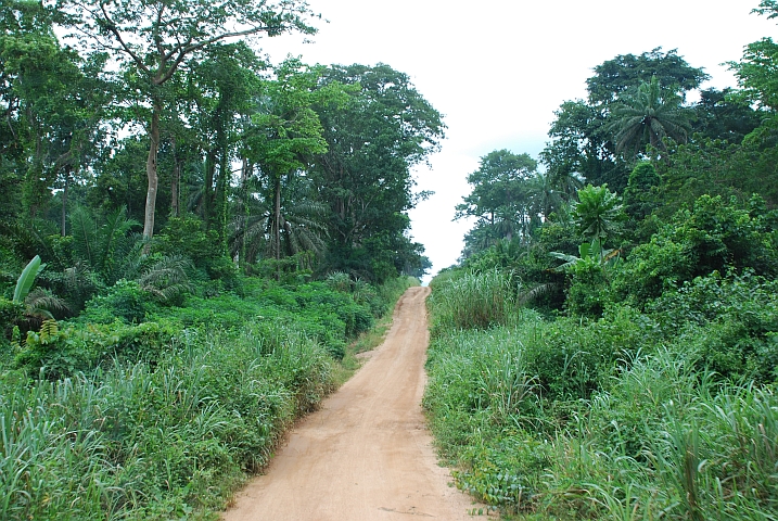 Piste zur togolesischen Grenze bei Menuso