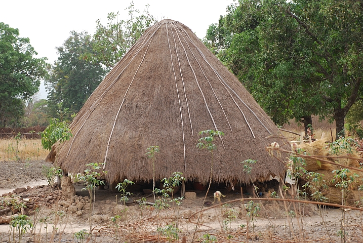 Typisches Rundhaus mit tief gezogenem Strohdach im Norden von Guinea