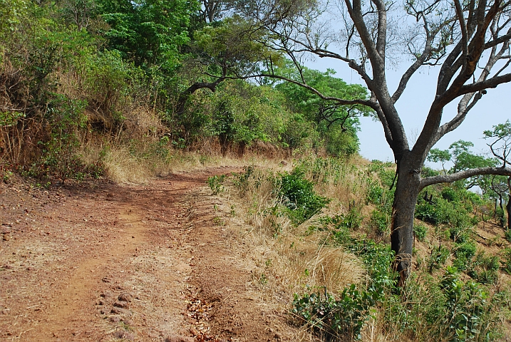 Fahrweg auf dem Rückweg von den Kambadaga-Fällen