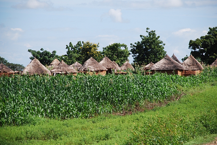 Dorf in der Nähe von Guider im Norden Kameruns