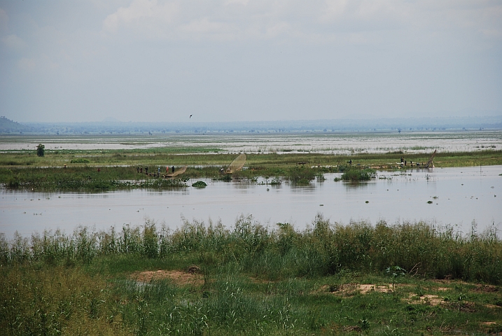 Fischernetze am Bénoué bei Garoua