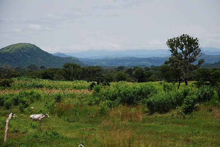 Landschaft beim Bénoué-Nationalpark nördlich von Ngaoundéré