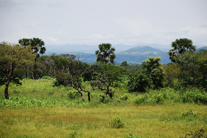 Landschaft beim Bénoué-Nationalpark nördlich von Ngaoundéré