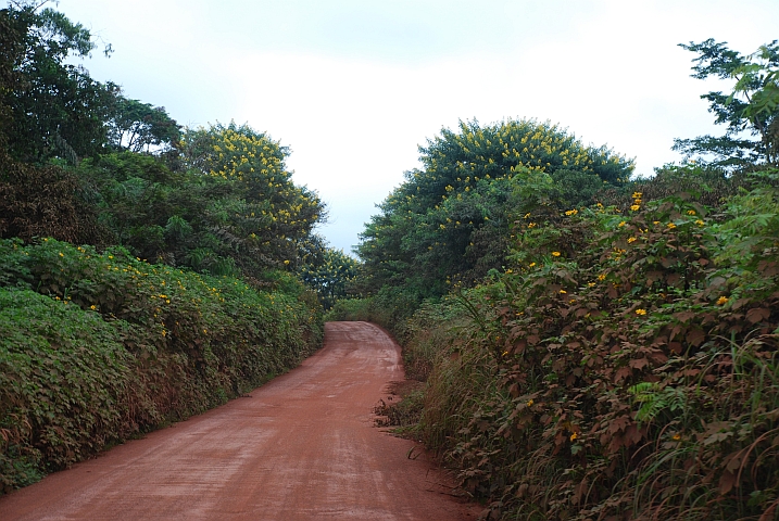 Piste nach Abong Mbang kurz nach Bertoua