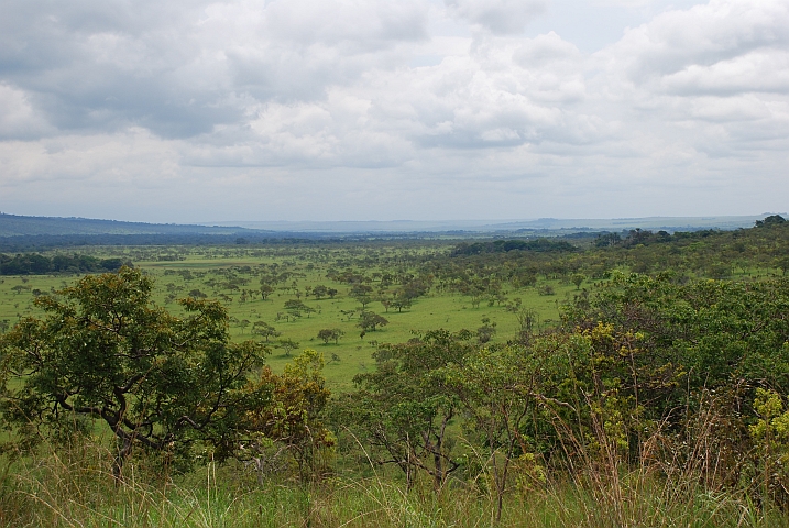 Landschaft zwischen Mbié und Lékéti