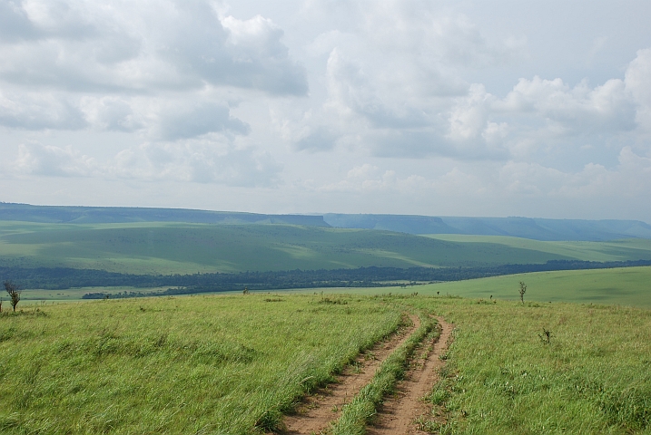 Feldweg im Léfini-Reservat