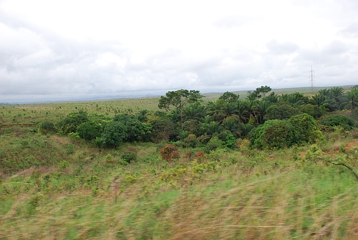 Landschaft zwischen Mbanza-Ngungu und Lukula