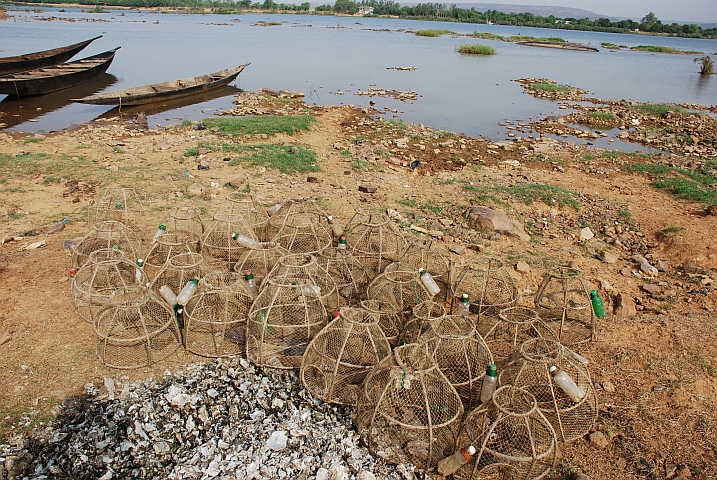 Reusen am Ufer des Niger gleich neben Le Cactus