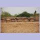 Typische Speicherhäuschen im ländlichen Mali