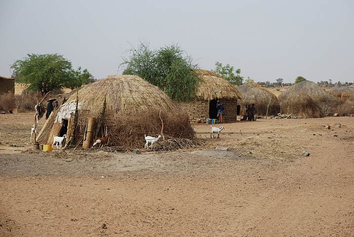 Nomadenbehausung im Niger-Binnendelta