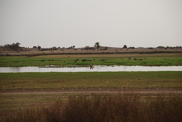 Im Niger-Binnendelta in der Nähe von Korientzé