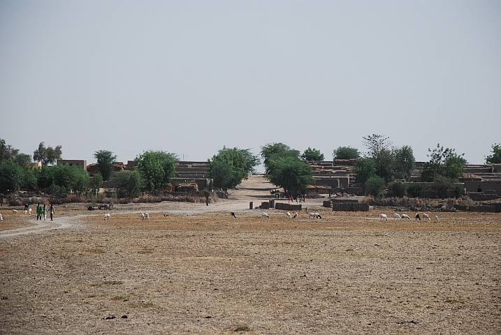 Dorf im Niger-Binnendelta