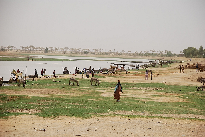 Ein Niger-Arm im Binnendelta bei Saraféré