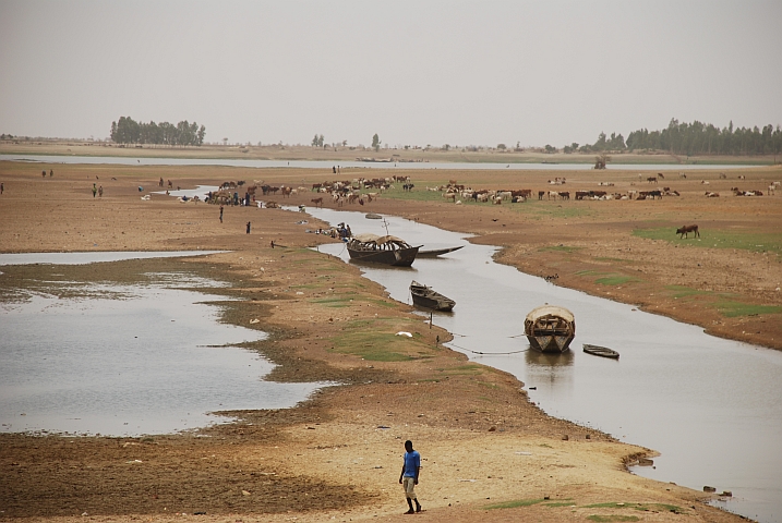 Bei Tonka im Niger-Binnendelta