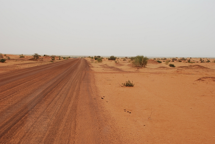 Wellblechpiste zwischen Tonka und Goundam auf dem Weg nach Tombouctou