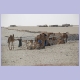 Kamele am Stadtrand von Tombouctou