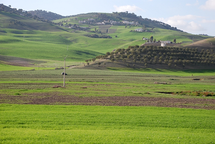 Grüne Landschaft zwischen Âïn-Âïcha und Fès