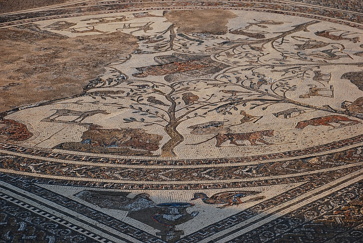 Mosaik in den Römerruinen von Volubilis