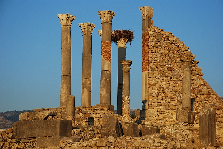 Römische Ruinen in Volubilis