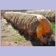 “Zwiebel-Trocknungsanlage“ vor Ifrane im Mittleren Atlas