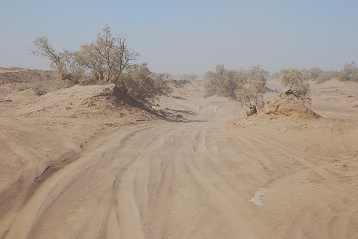 Weichsandpassage kurz nach Mhamid auf dem Weg nach Foum-Zguid