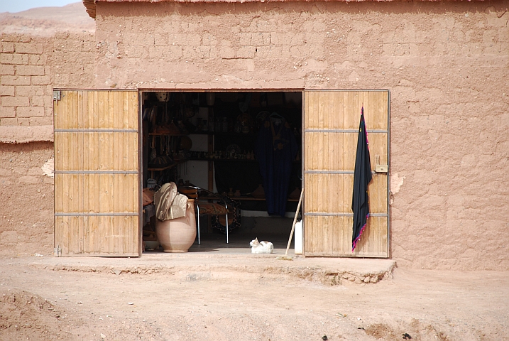 Was sich wohl Vogel und Katze zu sagen haben? (In Âït Benhaddou)