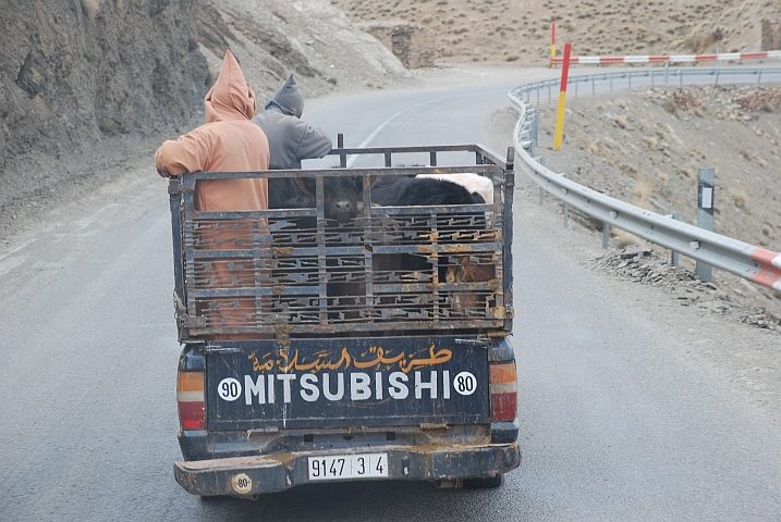 Gemischter Transport am Tizi-n-Tichka Pass