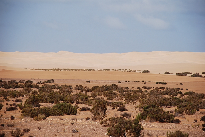 Sanddünen vor Tarfaya