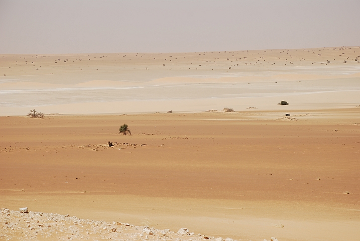 Wüste zwischen Nouâdhibou und Nouâkchott