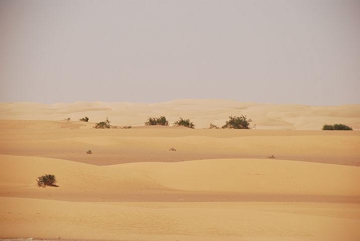 Wüste zwischen Nouâdhibou und Nouâkchott