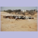 Ziegenhirt mit Herde zwischen Nouâkchott und Rosso