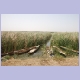Am Senegal-Fluss