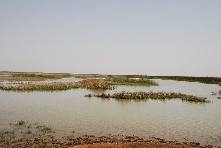 Am Senegal-Fluss