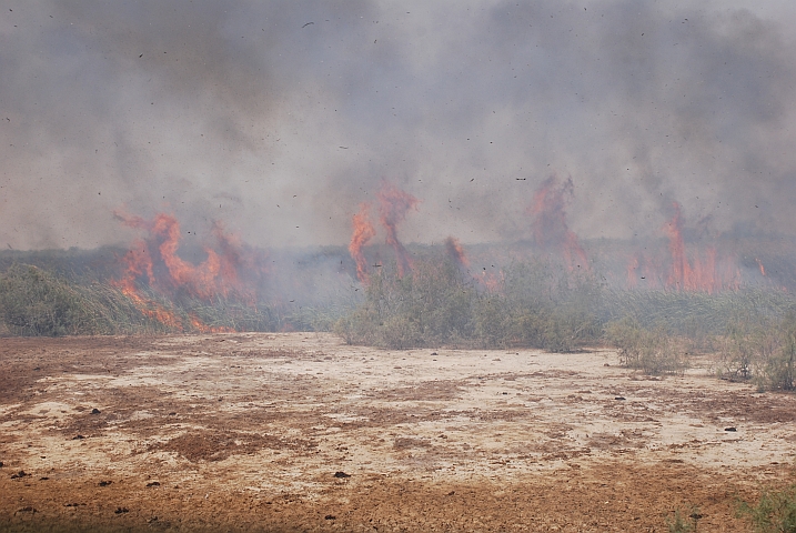 Buschbrand am Senegal-Fluss