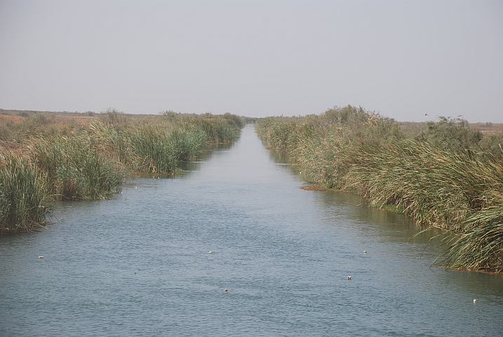 Bewässerungskanal am Senegal-Fluss