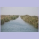 Bewässerungskanal am Senegal-Fluss