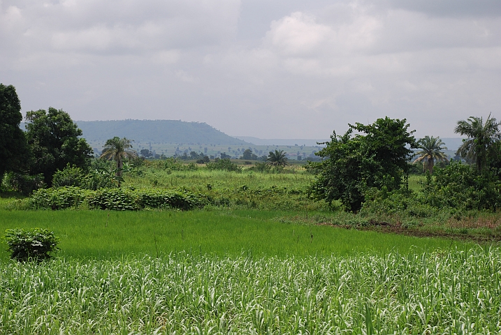 Landschaft am Kaduna-Fluss kurz vor Bida