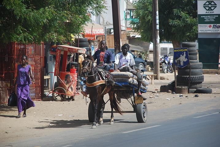 1PS-Transporter bei Dakar