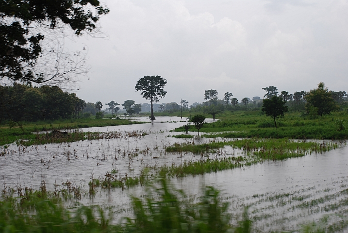 Überflutete Felder zwischen Kpalimé und Lomé