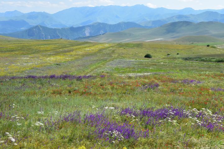 Zwischen Sisian und Goris im Süden Armeniens