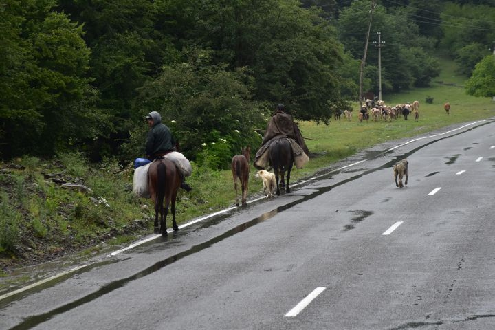 Berittene Hirten unterwegs auf der Georgischen Heerstrasse