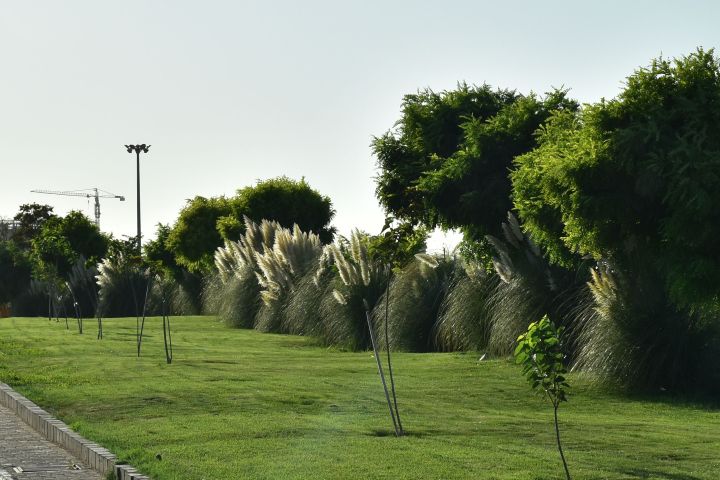 Gepflegtes Grün am Strassenrand in Mashhad