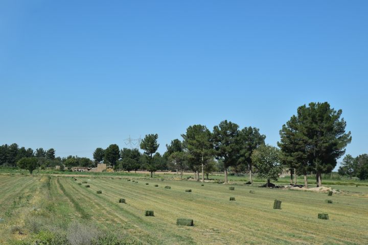 Heuballen auf dem Feld