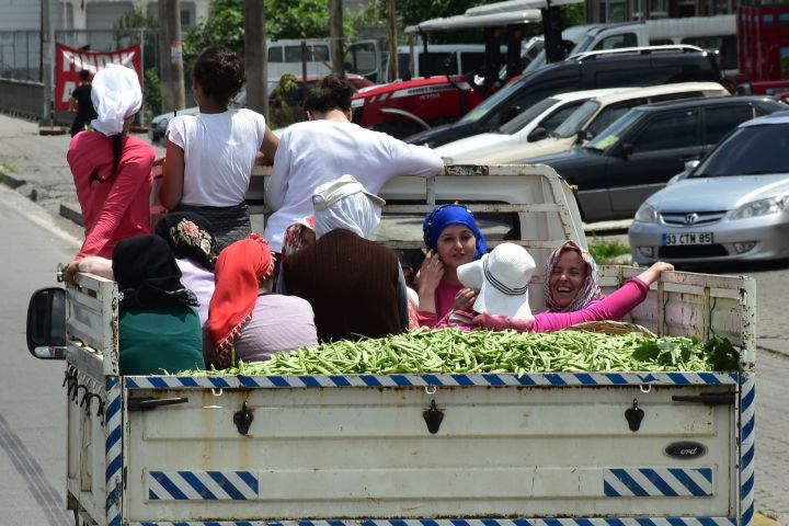 Pick-Up mit Ernte und Erntehelferinnen