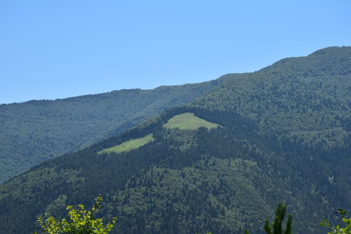 Alpweiden hoch über Artvin