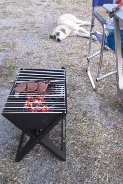 Hund schielt nach unserem Fleisch auf dem Grill