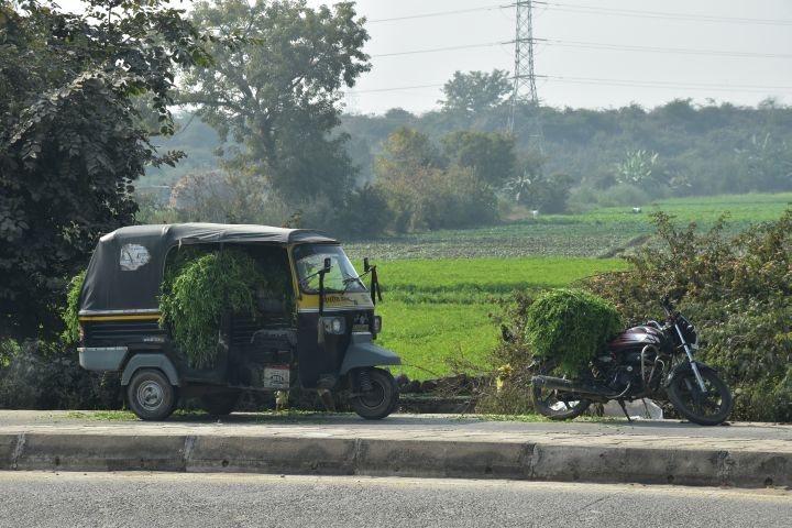 Mit Gras beladene Tuctuc und Motorrad