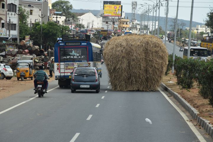 Heutransport in Chittivalasa in der Nähe von Visakhapatnam, Andhra Pradesh