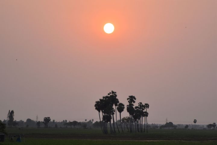 Abendstimmung in der Nähe von Ulavapadu südlich von Ongole